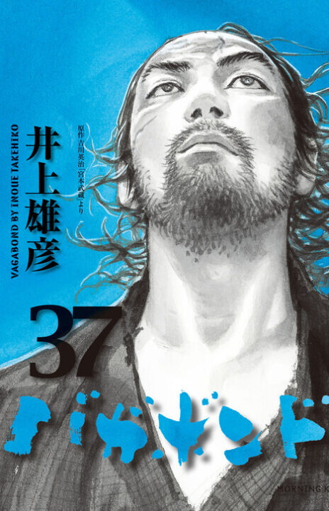 Vagabond IT Cover Image